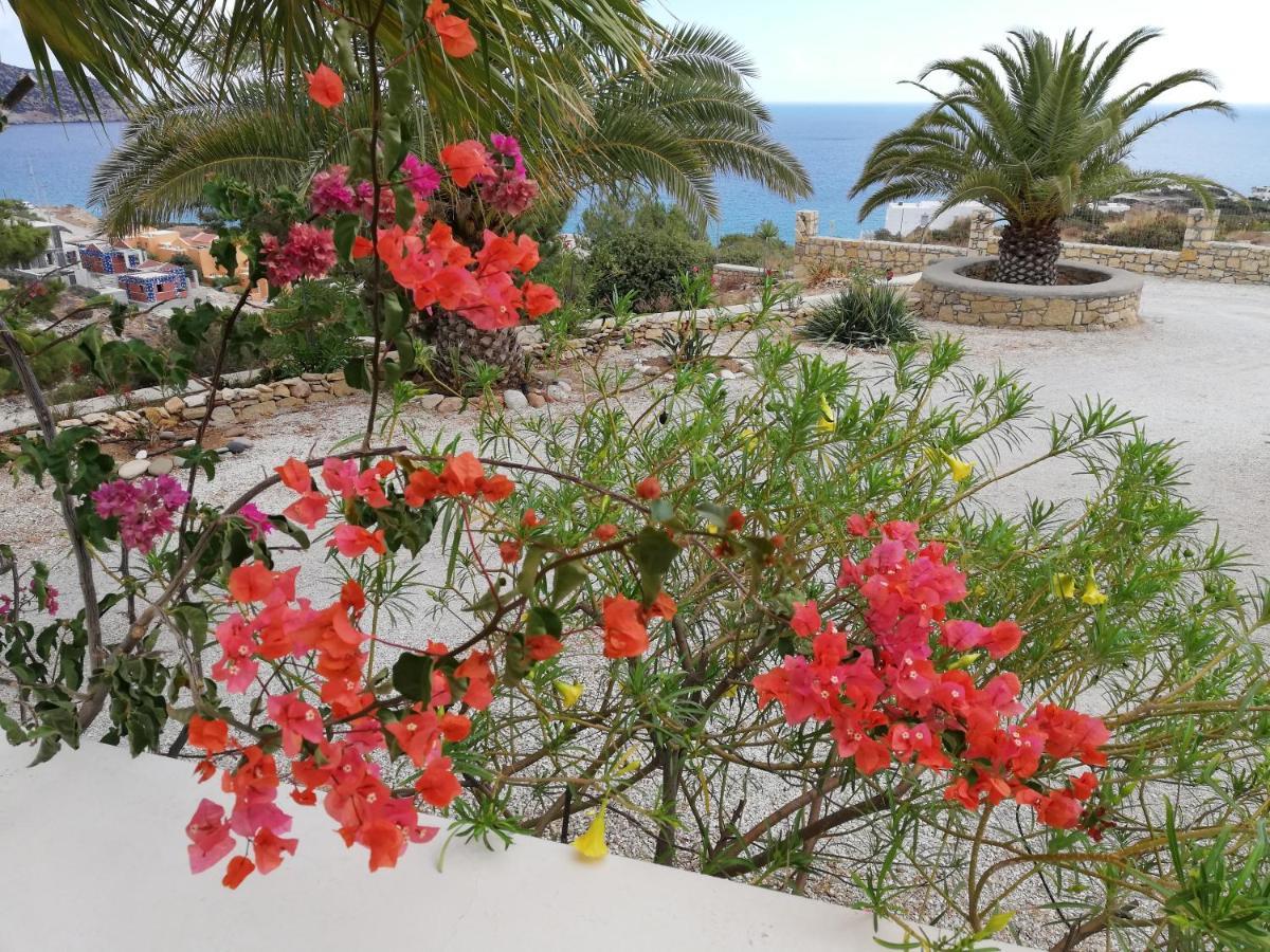 Tranquil Villa With Sea View In Ammopi Karpathos Amoopi Exterior photo